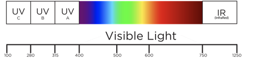 Electromagnetic Spectrum Diagram